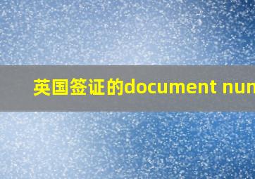 英国签证的document number